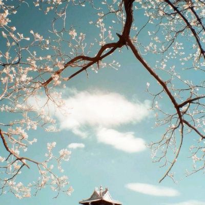 合金幻想ol手游下载